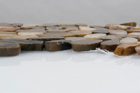 12X12 Flat Bora Wilderness | Tiles By Kia