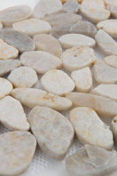 12X12 Flat Fiji Cream | Tiles By Kia