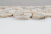 12X12 Flat Fiji Cream | Tiles By Kia