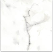 12X12F Calacatta | Tiles By Kia