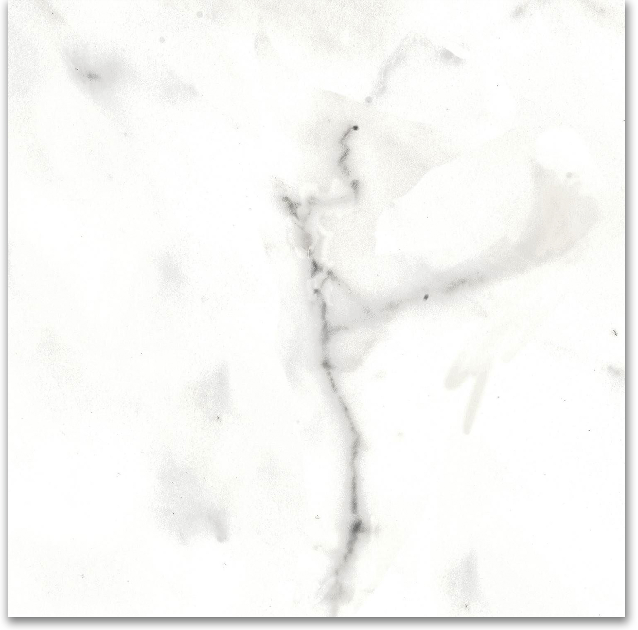 12X12F Calacatta | Tiles By Kia
