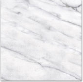 12X12F Carrara | Tiles By Kia