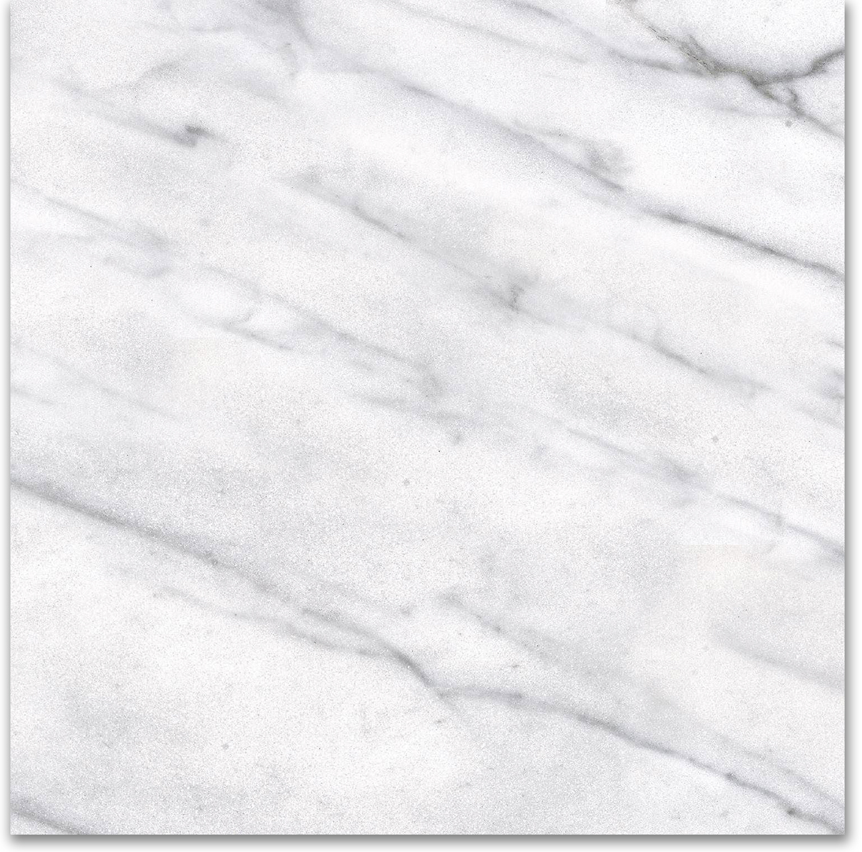 12X12F Carrara | Tiles By Kia