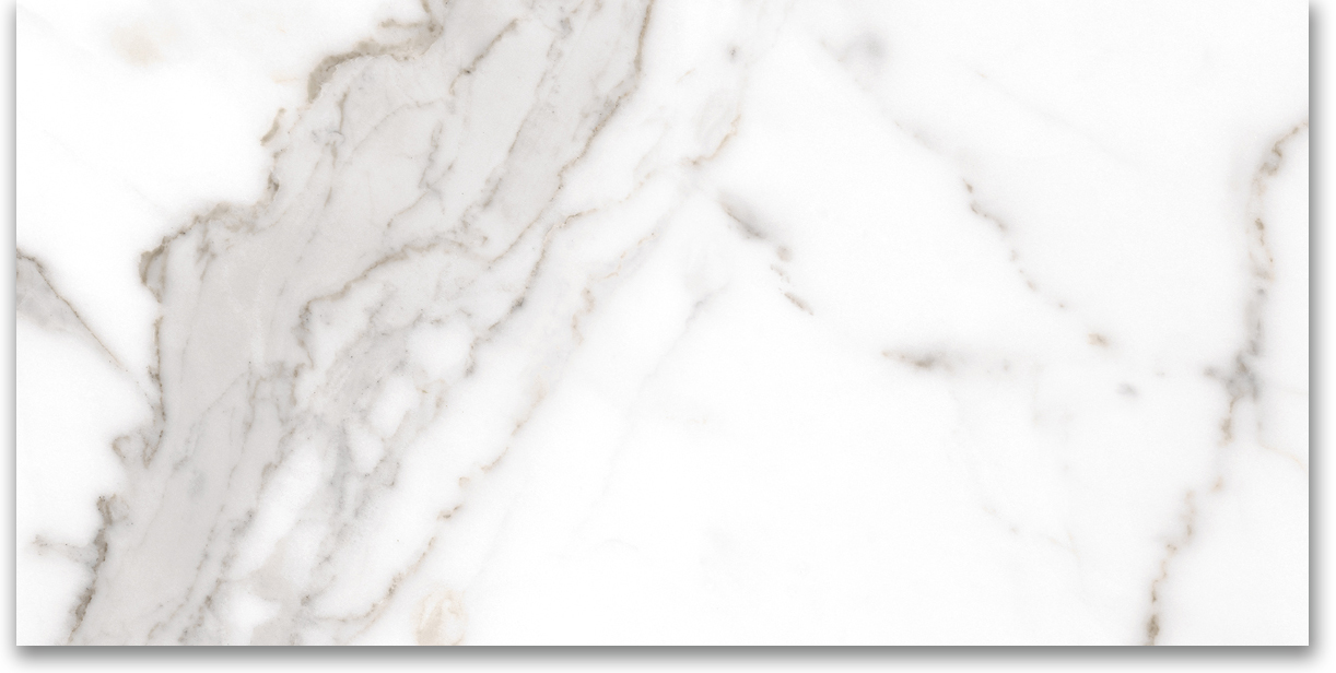 12X24 Polished Amore Grey | Tiles By Kia