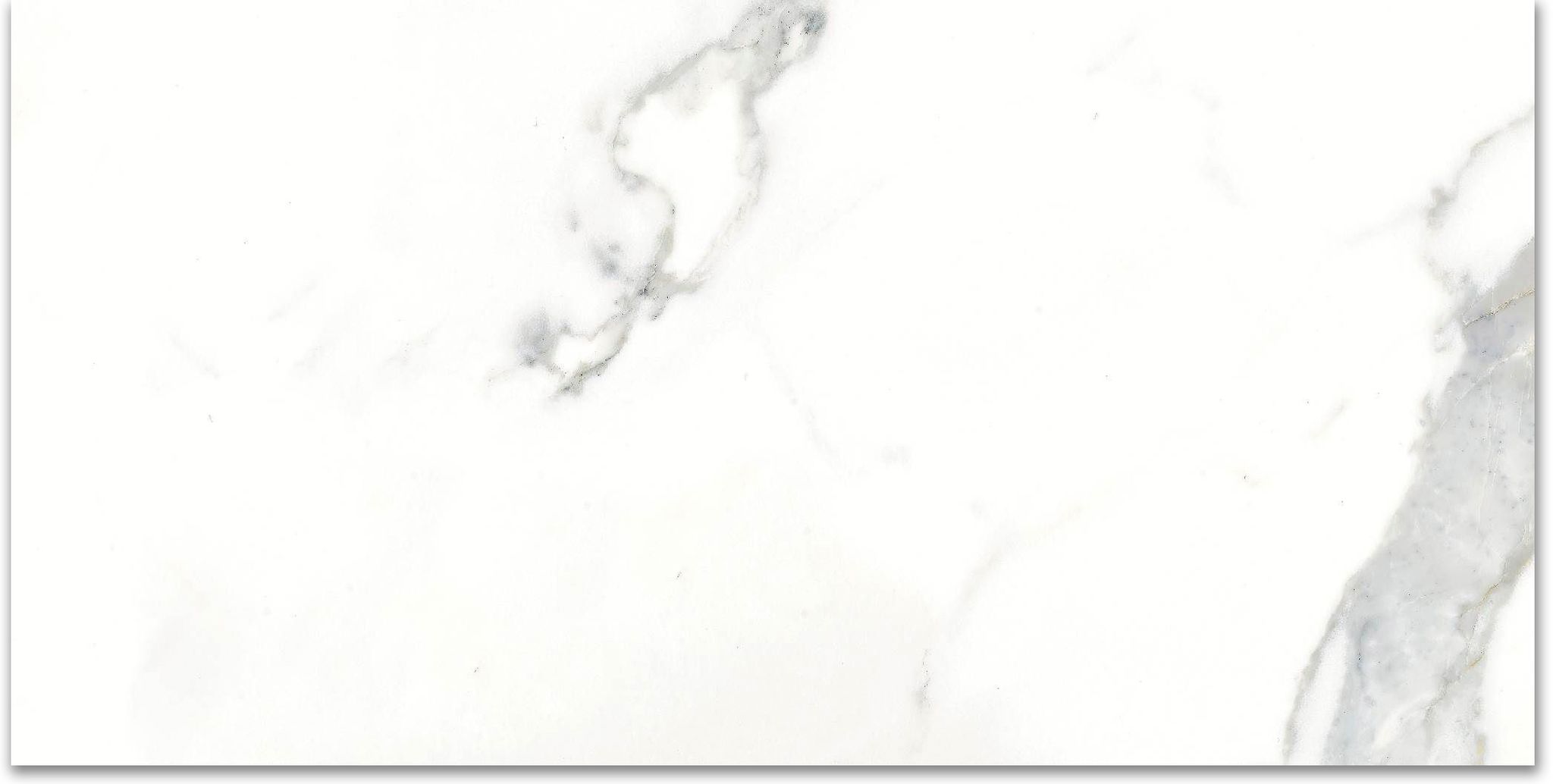 12X24F Calacatta | Tiles By Kia