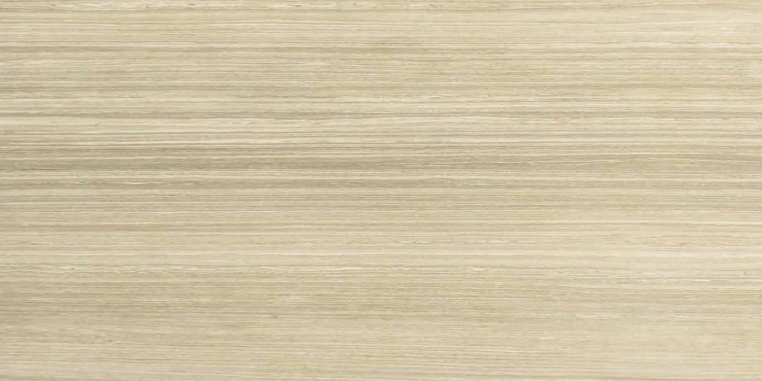 12X24F Sand Polished | Tiles By Kia
