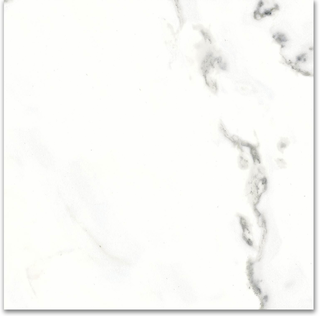 18X18F Calacatta | Tiles By Kia