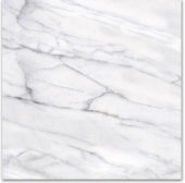 18X18F Carrara | Tiles By Kia