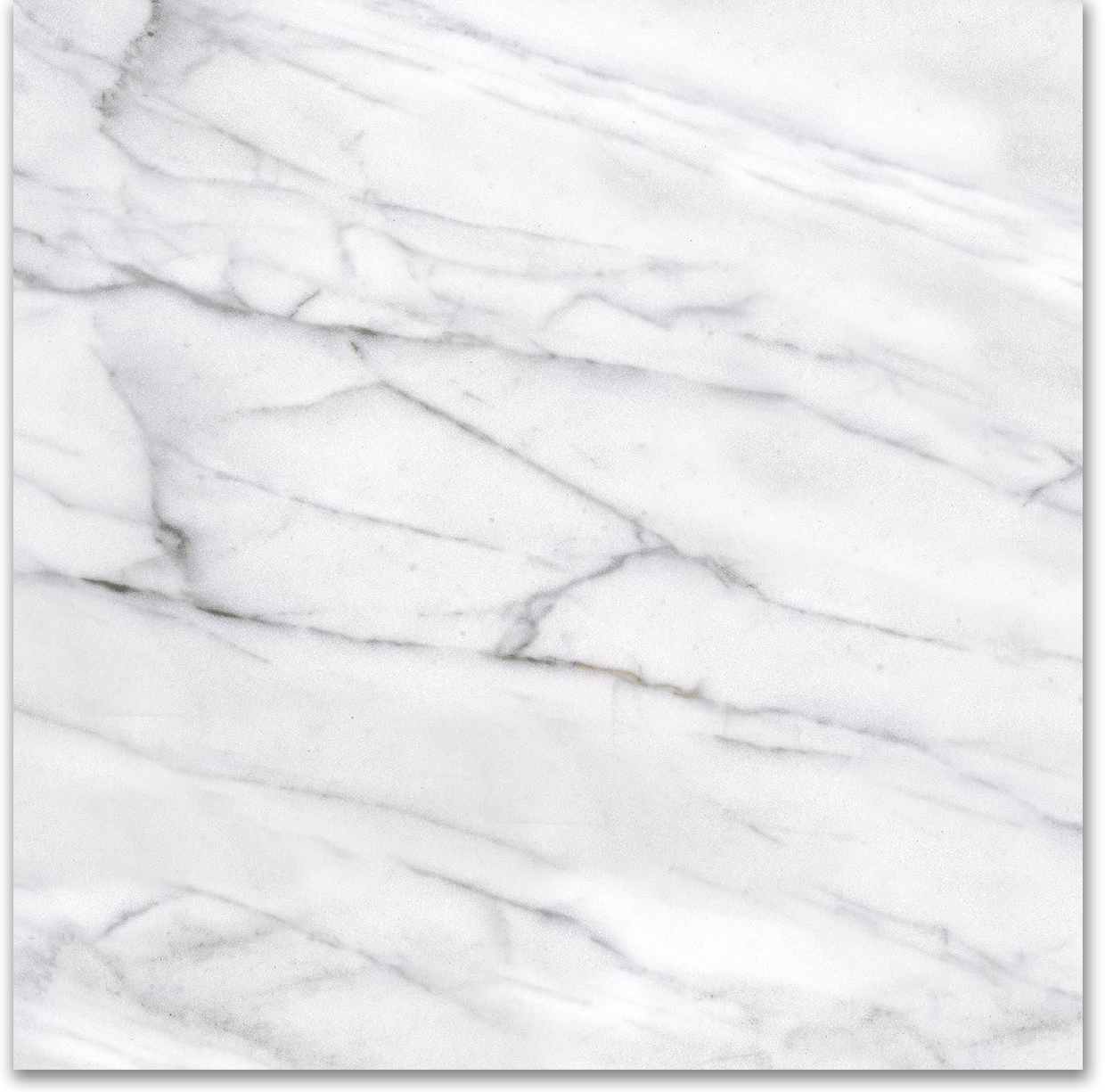 18X18F Carrara | Tiles By Kia