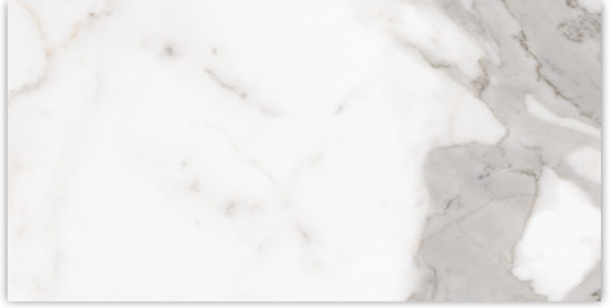 24X48 Matte Amore Grey | Tiles By Kia