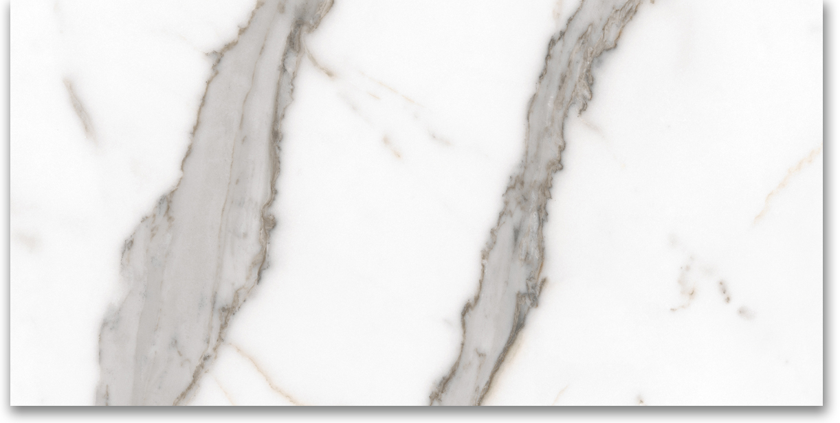24X48 Matte Amore Grey | Tiles By Kia