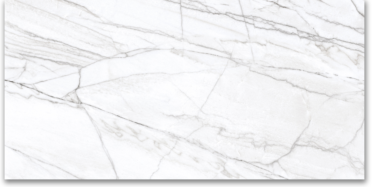 24X48 Matte Glamour White | Tiles By Kia