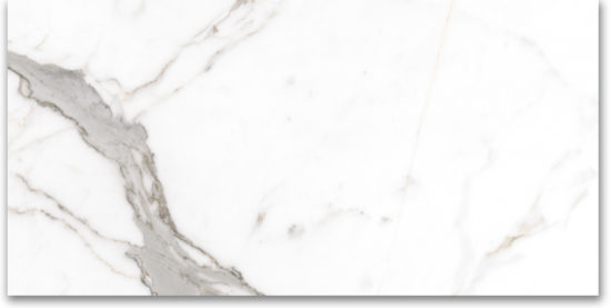 24X48 Polished Amore Grey | Tiles By Kia