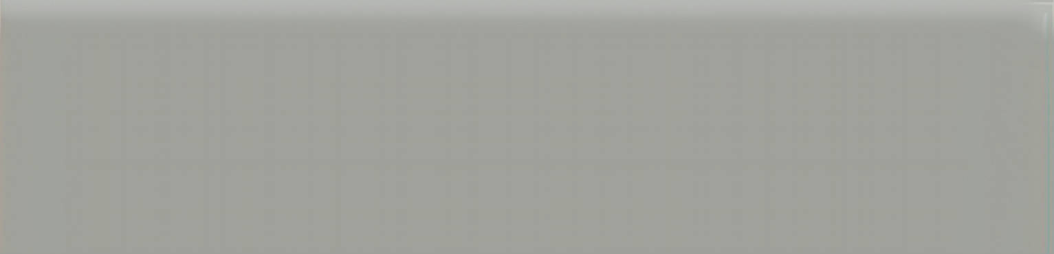 2x8 Taupe Glossy Bullnose | Tiles By Kia