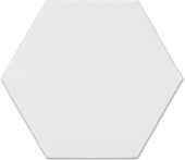 6" Bray Powder Glossy Hexagon | Tiles By Kia