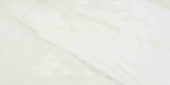 Amalfi Calacatta Honed 12X24 | Tiles By Kia