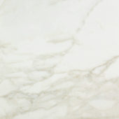 Amalfi Calacatta Honed 24X24 | Tiles By Kia