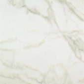 Amalfi Calacatta Honed 24X24 | Tiles By Kia