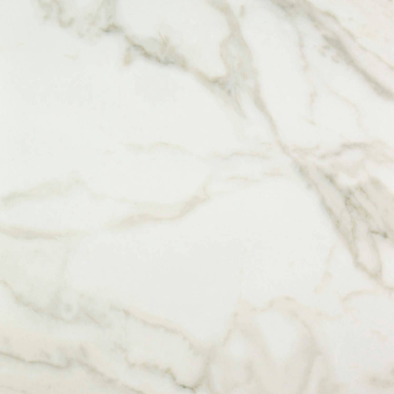 Amalfi Calacatta Honed 24X24 | Tiles By Kia