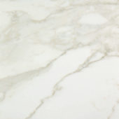 Amalfi Calacatta Honed 32X32 | Tiles By Kia