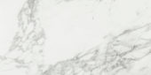 Arabescato Verona Honed 12X24 | Tiles By Kia