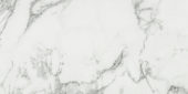 Arabescato Verona Honed 24X48 | Tiles By Kia