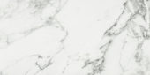 Arabescato Verona Polished 12X24 | Tiles By Kia
