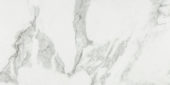 Arabescato Verona Polished 12X24 | Tiles By Kia