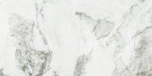 Arabescato Verona Polished 24X48 | Tiles By Kia