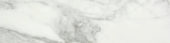 Arabescato Verona Polished 3X12 Bullnose | Tiles By Kia