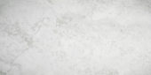 Argento 12X24 | Tiles By Kia