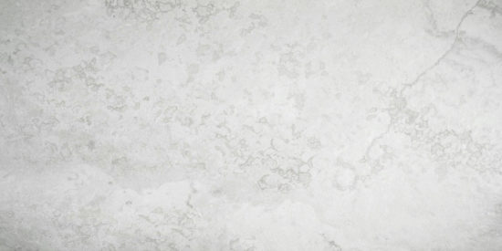 Argento 12X24 | Tiles By Kia
