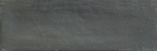 Aruba Coal Matt 2x6 | Tiles By Kia