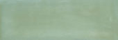 Aruba Moss Gloss 2x6 | Tiles By Kia
