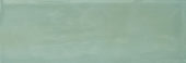 Aruba Moss Gloss 2x6 | Tiles By Kia