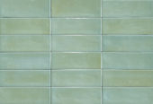 Aruba Moss Gloss 2x6 | Tiles By Kia