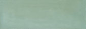 Aruba Moss Gloss 2x6 | Tiles By Kia