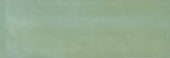 Aruba Moss Gloss 2x6 | Tiles By Kia