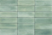 Aruba Moss Matt 2x6 | Tiles By Kia