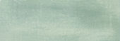 Aruba Moss Matt 2x6 | Tiles By Kia