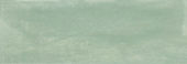 Aruba Moss Matt 2x6 | Tiles By Kia