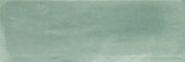 Aruba Moss Matt 2x6 | Tiles By Kia