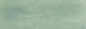 Aruba Moss Matt 2x6 | Tiles By Kia