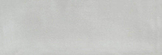 Aruba Silver Gloss 2x6 | Tiles By Kia