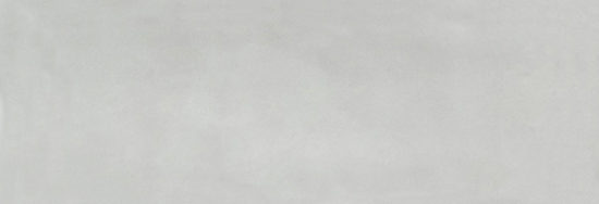 Aruba Silver Gloss 2x6 | Tiles By Kia