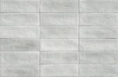 Aruba Silver Matt 2x6 | Tiles By Kia