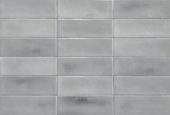 Aruba Steel Gloss 2x6 | Tiles By Kia