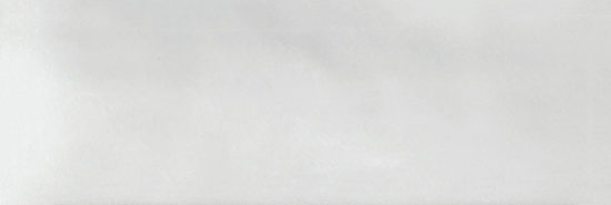 Aruba White Gloss 2x6 | Tiles By Kia