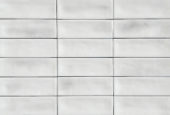 Aruba White Gloss 2x6 | Tiles By Kia