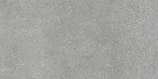 Ashland 24X48 Grey | Tiles By Kia